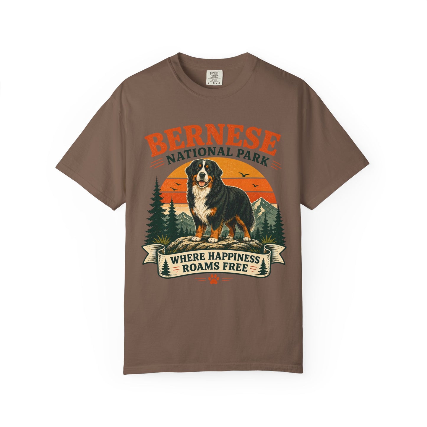 Vintage Bernese National Park T-shirt
