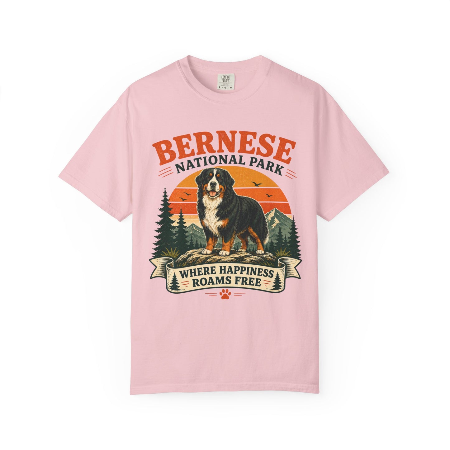 Vintage Bernese National Park T-shirt