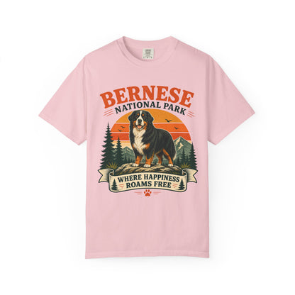 Vintage Bernese National Park T-shirt