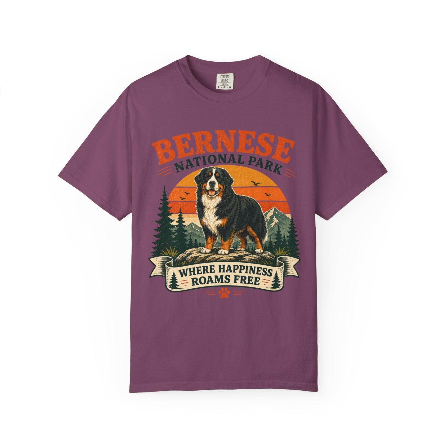 Vintage Bernese National Park T-shirt