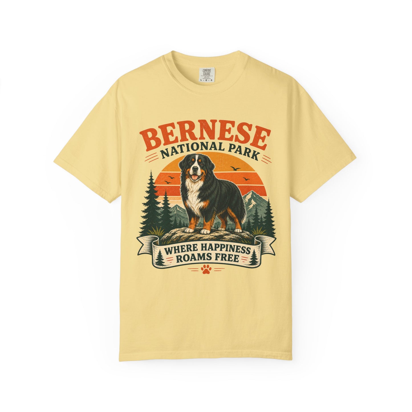 Vintage Bernese National Park T-shirt