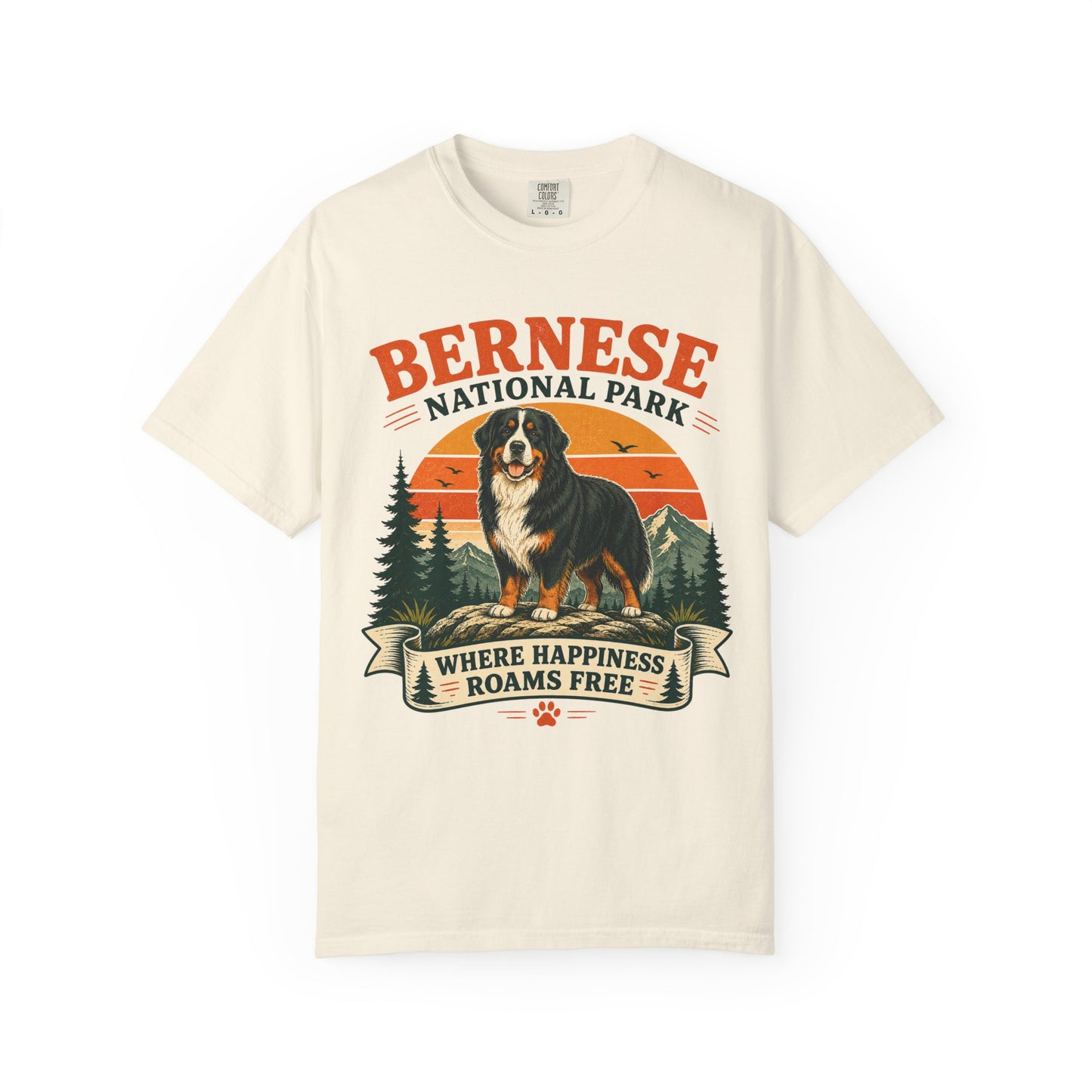 Vintage Bernese National Park T-shirt