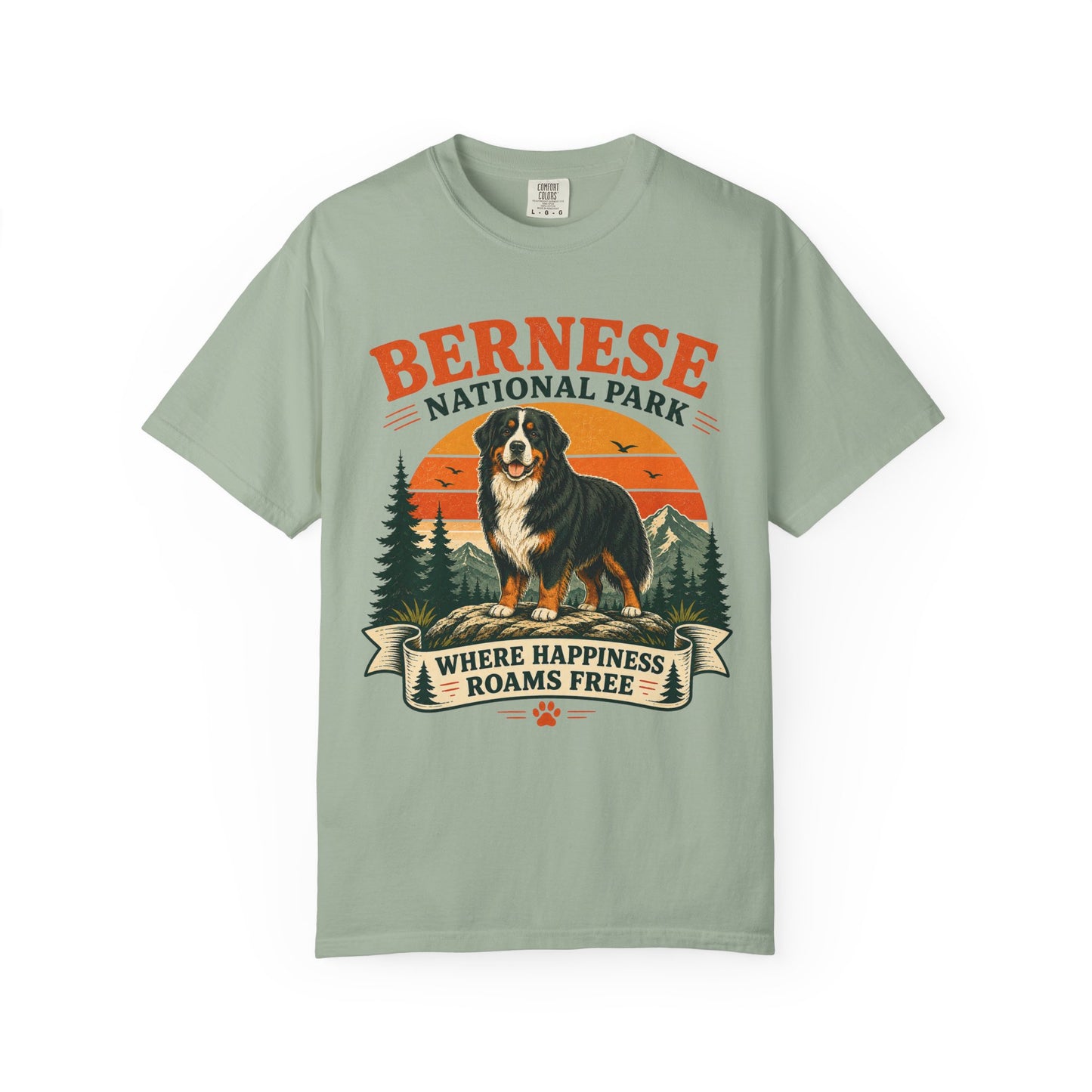Vintage Bernese National Park T-shirt